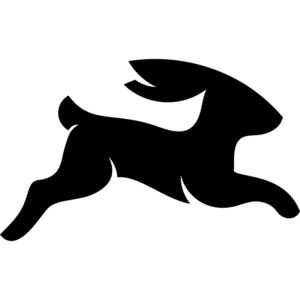 directus logo